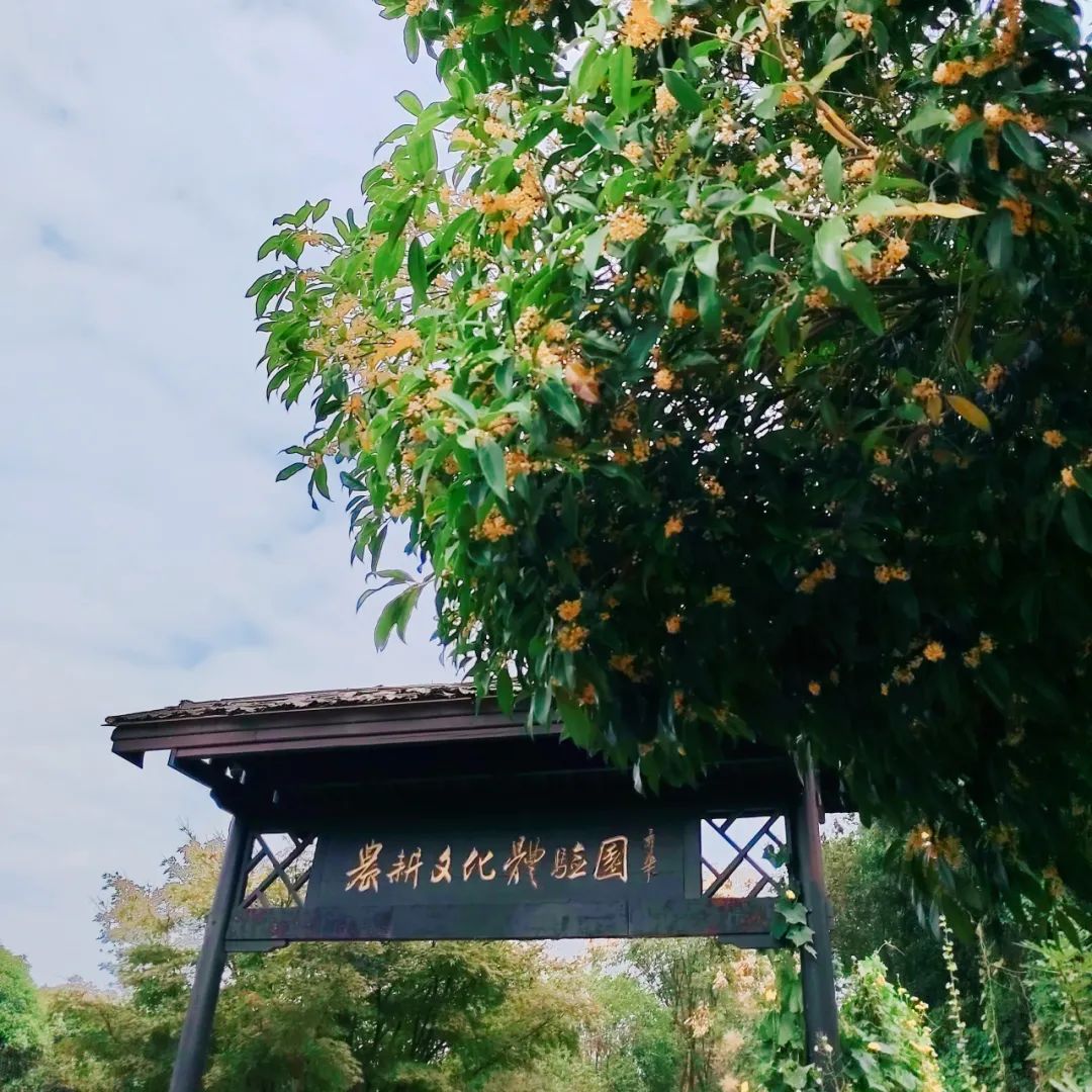 DƬ